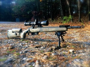 The Best Scopes For Your .308