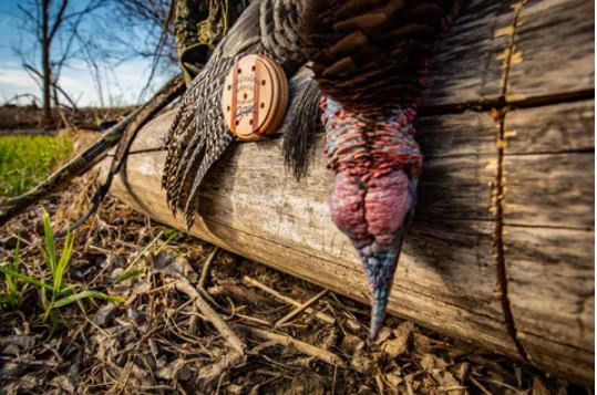 10 Best Turkey Calls To Attract Gobblers